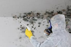 Best Industrial Mold Remediation  in Flint Hill, MO